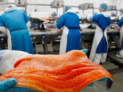 Пакувальниця рибної продукції SEKO, Гданськ – вакансія для жінок